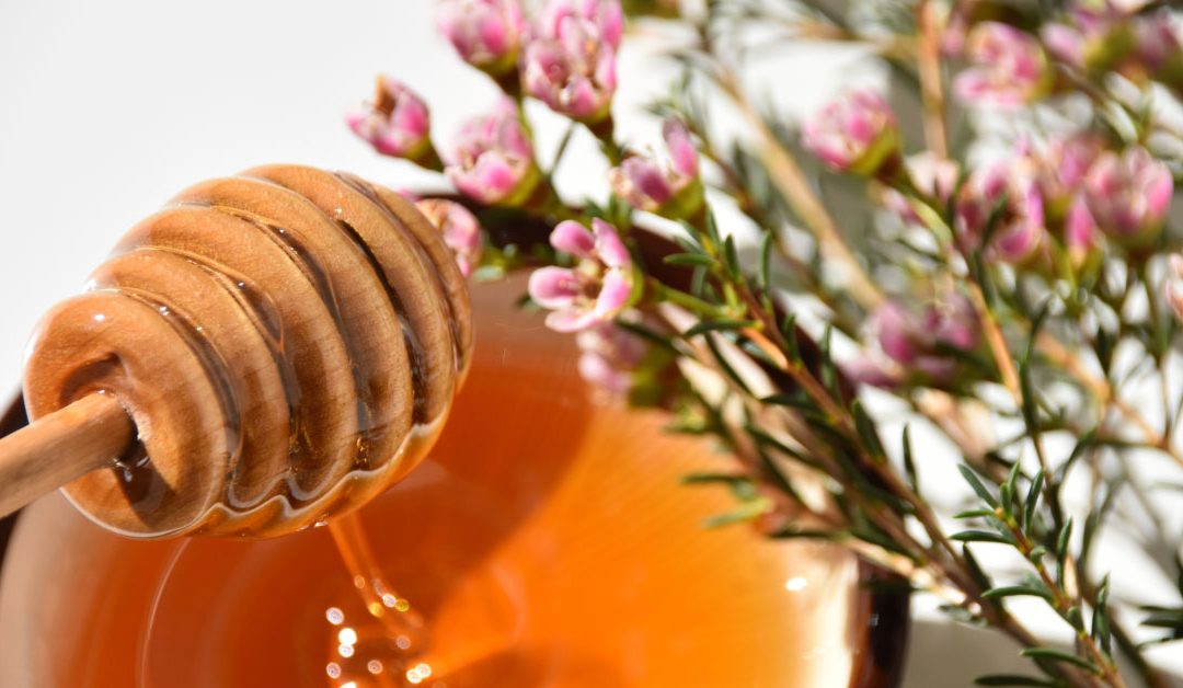 Manuka Honey Benefits