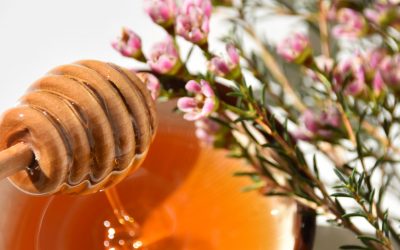 Manuka Honey Benefits